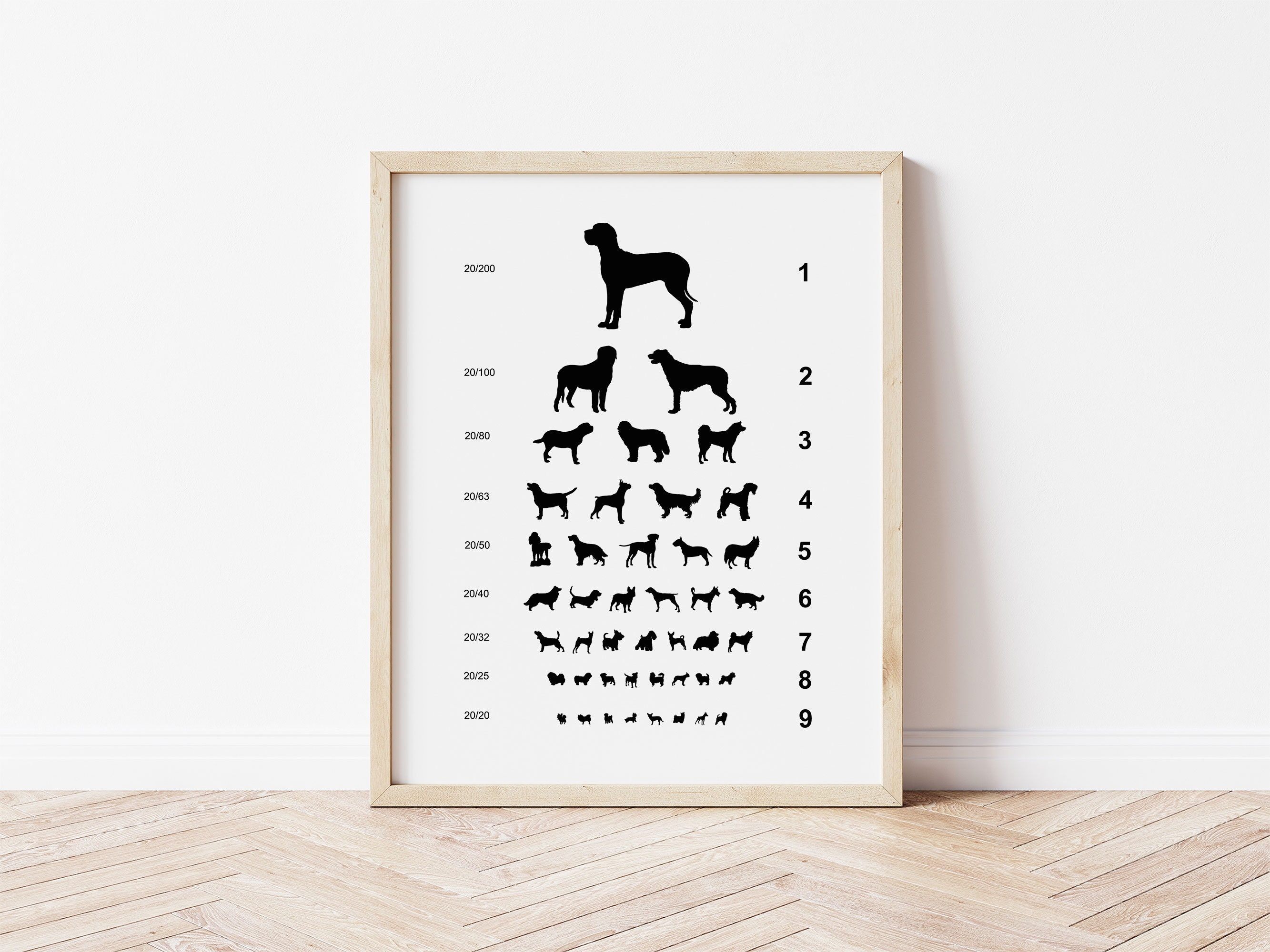 Dog Eye Chart Print Vet Décor Gift for Veterinarian