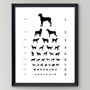 Dog Eye Chart Print, Vet Décor, Gift for Veterinarian, Vet Tech Gift, Animal Doctor Décor, Pet Room Print, Dog Wall Art, Optometry Poster