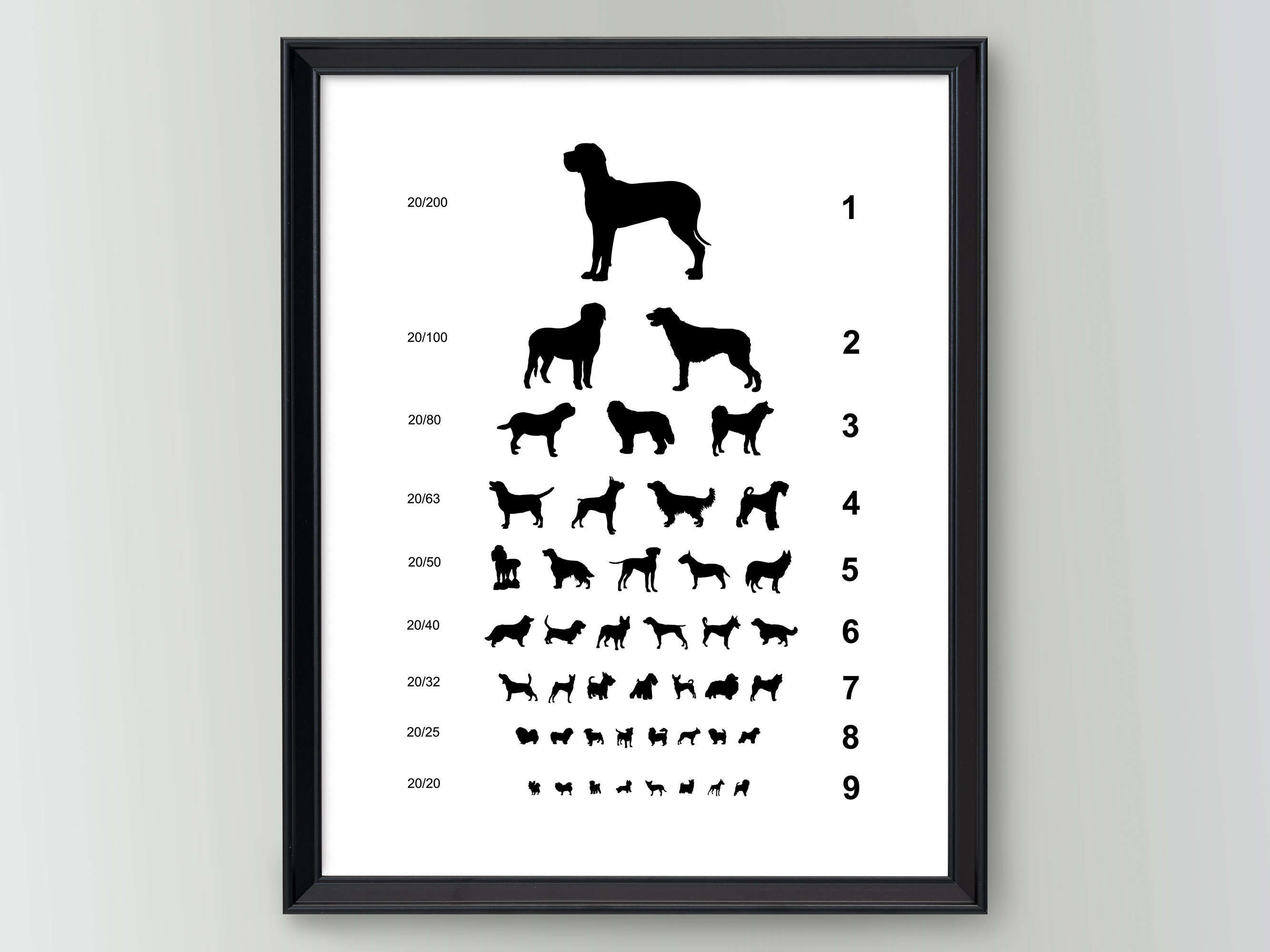 Dog Eye Chart Print Vet Décor Gift for Veterinarian