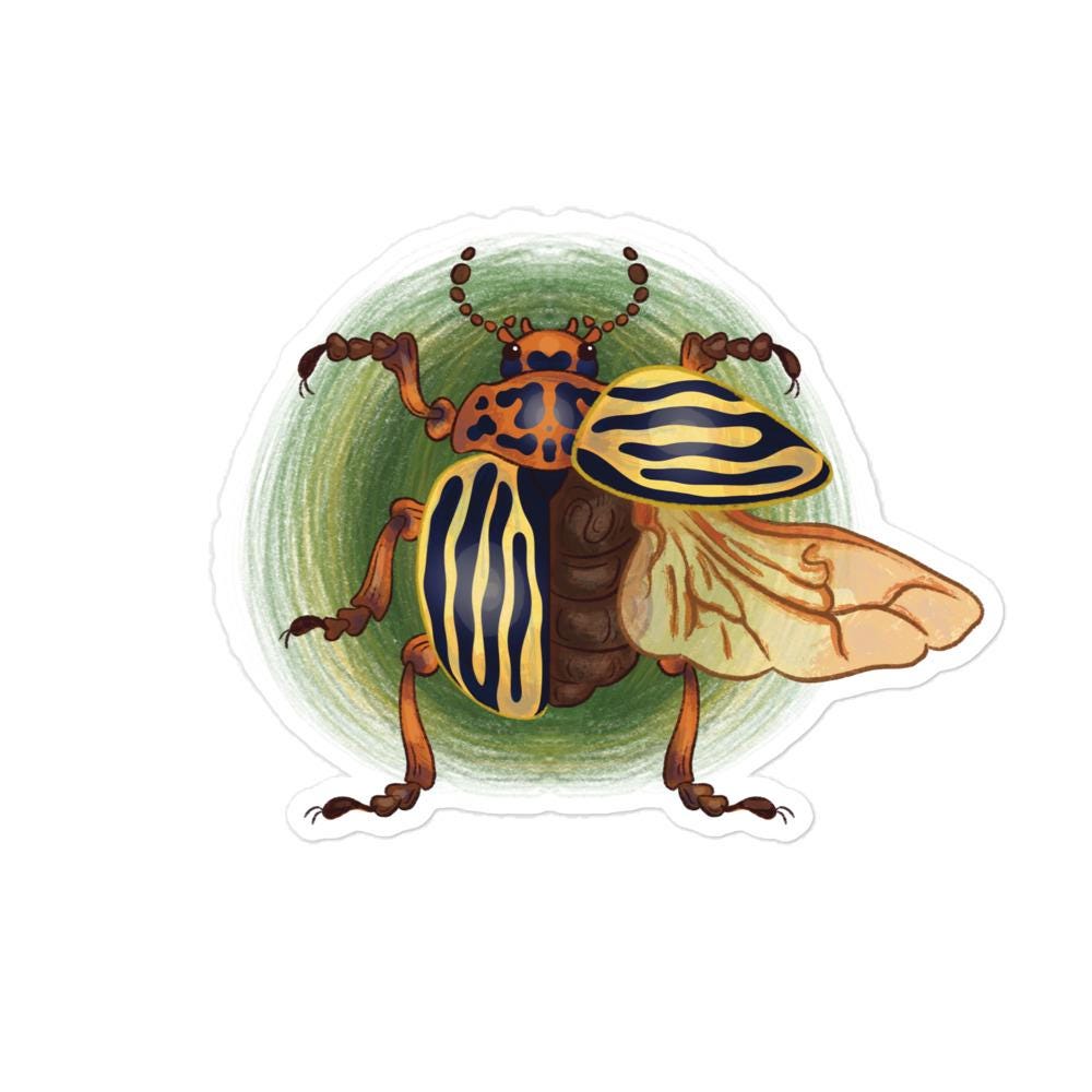 Colorado potato beetle stickers