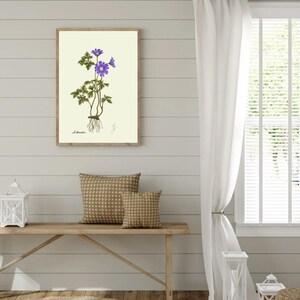 Anemone print hanging on a wooden cabin wall above a bench with two brown pillows