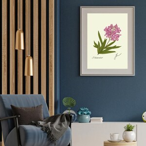 Oleander print in a white frame with passpartout hanging on a blue wall