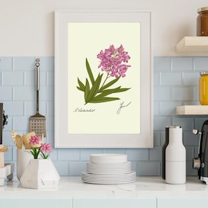 Oleander print in a white frame on a kitchen wall