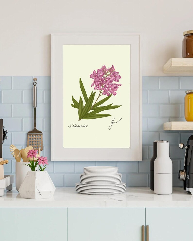 Oleander print in a white frame on a kitchen wall