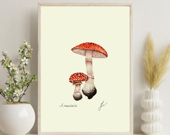 Amanita Mushroom Botanical Print: Vintage Fungi Illustration (Digital Download