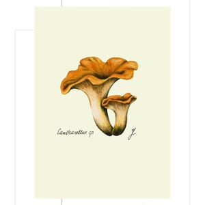 Chanterelle print example as card
