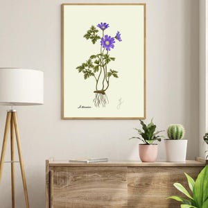 Anemone print on a white shelf next to two white vases and a white background