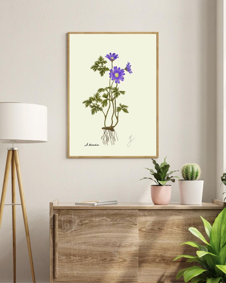 Anemone print on a white shelf next to two white vases and a white background