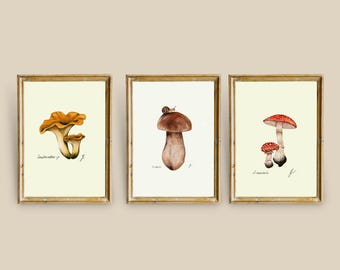Mushroom Prints: Botanical Fungi Art, Forager Kitchen Decor (Digital Download)
