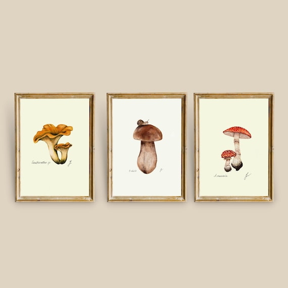 Mushroom Prints: Botanical Fungi Art, Forager Kitchen Decor (Digital Download)