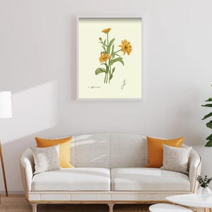Calendula print in a white framed print on a white wall above a white couch