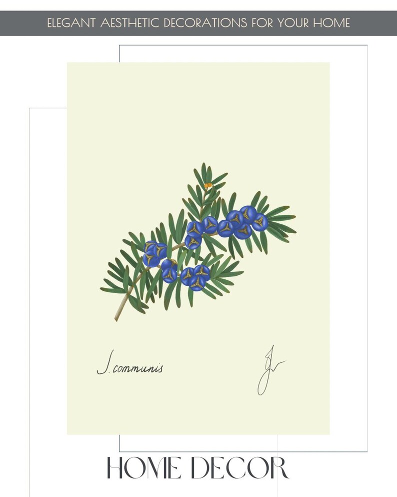 Juniper print example as card