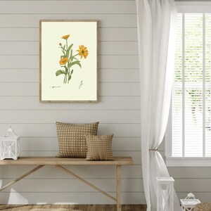 Calendula print hanging on a wooden cabin wall above a bench with two brown pillows