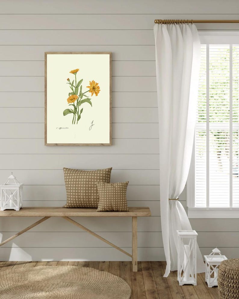 Calendula print hanging on a wooden cabin wall above a bench with two brown pillows
