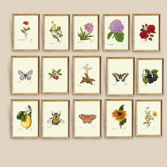 Botanical Summer Prints: Beach House Coastal Art (Digital Download)