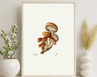 May include: A framed watercolor print featuring a cluster of mushrooms with brown caps and stems. The artwork is set against a cream-colored background. The print is in a light wooden frame and includes the text "A. mellea" and a signature.