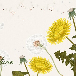 2026 Botanical Wall Calendar | Art Nouveau Floral Print (Digital Download) image 10