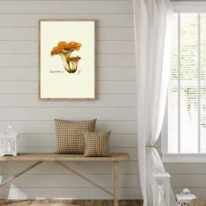 Chanterelle print hanging on a wooden cabin wall above a bench with two brown pillows