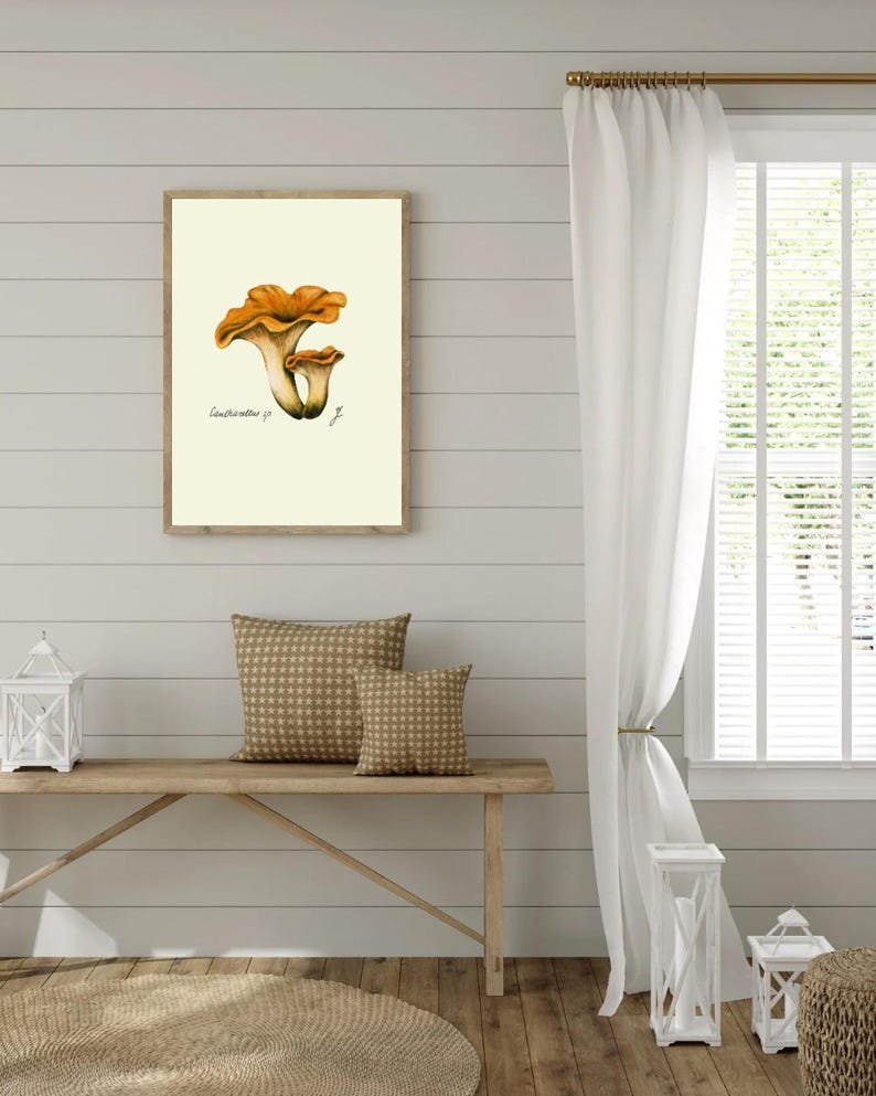Chanterelle print hanging on a wooden cabin wall above a bench with two brown pillows