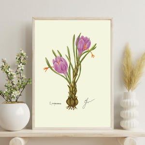 Crocus print on a white shelf next to two white vases and a white background