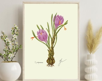Crocus Print | Spring Flower Botanical Art Digital Download