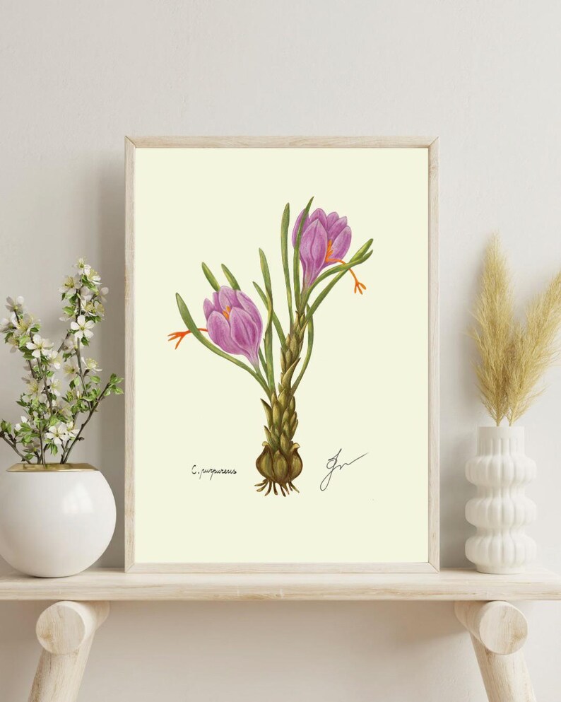 Crocus print on a white shelf next to two white vases and a white background