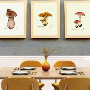 Mushroom Prints: Botanical Fungi Art, Forager Kitchen Decor (Digital Download) image 9