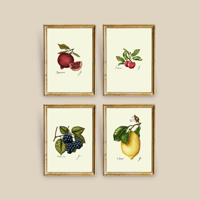 May include: Set of four botanical prints featuring illustrations of pomegranate, cherry, blackberry, and lemon. Each print is framed in a gold frame and has a white background.
