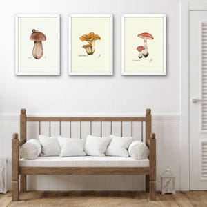 Mushroom Prints: Botanical Fungi Art, Forager Kitchen Decor (Digital Download) image 6