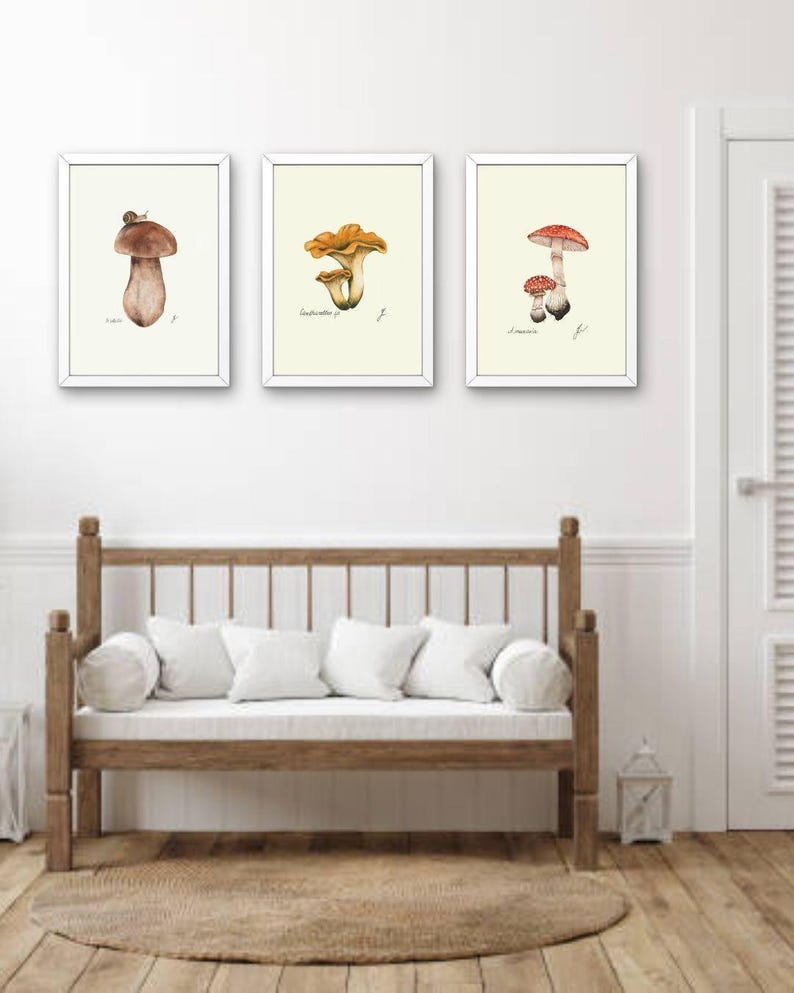 Mushroom Prints: Botanical Fungi Art, Forager Kitchen Decor (Digital Download) image 6