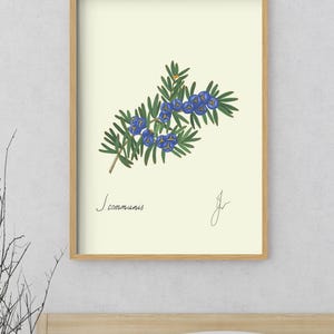 Juniper print in a wooden framed print above a bed