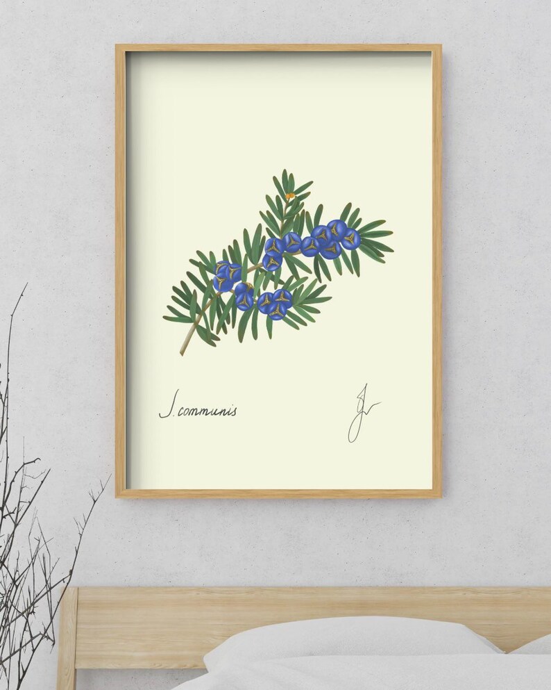 Juniper print in a wooden framed print above a bed