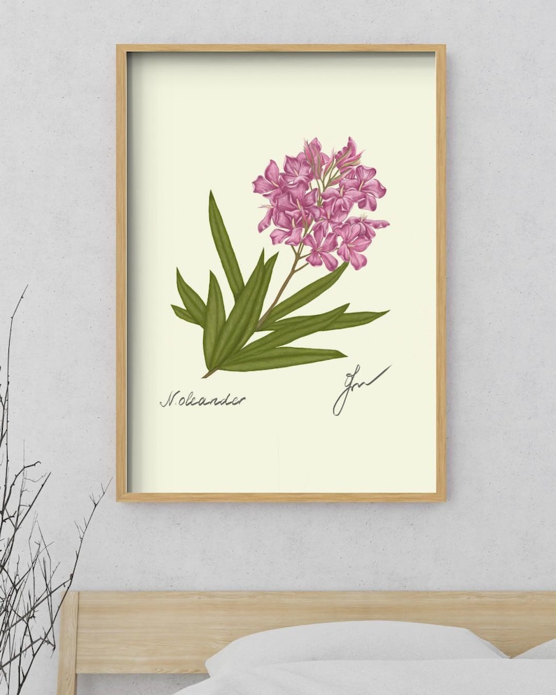 Oleander print in a wooden framed print above a bed