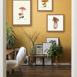 Mushroom Prints: Botanical Fungi Art, Forager Kitchen Decor (Digital Download) image 1
