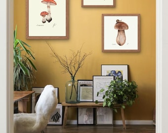 Mushroom Prints: Botanical Fungi Art, Forager Kitchen Decor (Digital Download)