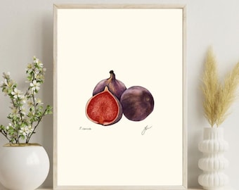 Fig Botanical Print: Vintage Kitchen Wall Art (Digital Download)