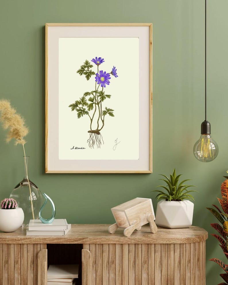 Anemone print in a wooden frame with white passpartout hanging on a green wall above the dresser