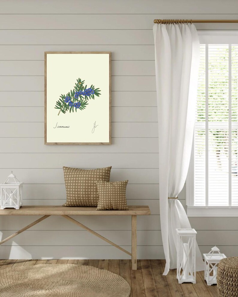 Juniper print hanging on a wooden cabin wall above a bench with two brown pillows