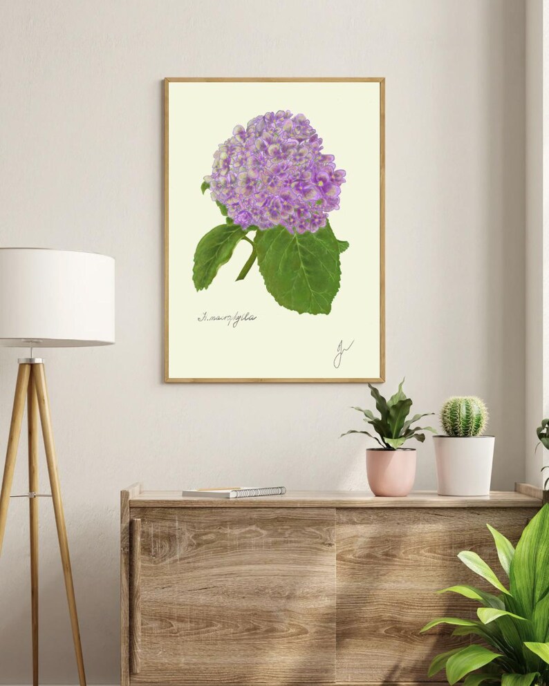 Hortensia print in a wooden frame hanging on a white wall