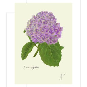 Hortensia print example as card