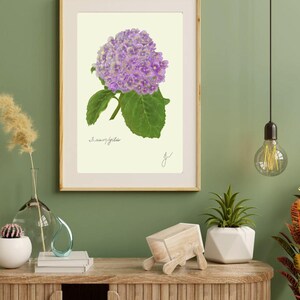 Hortensia print in a wooden frame with white passpartout hanging on a green wall above the dresser