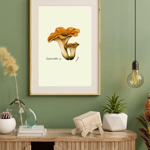Chanterelle print in a wooden frame with white passpartout hanging on a green wall above the dresser