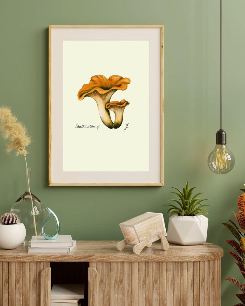 Chanterelle print in a wooden frame with white passpartout hanging on a green wall above the dresser