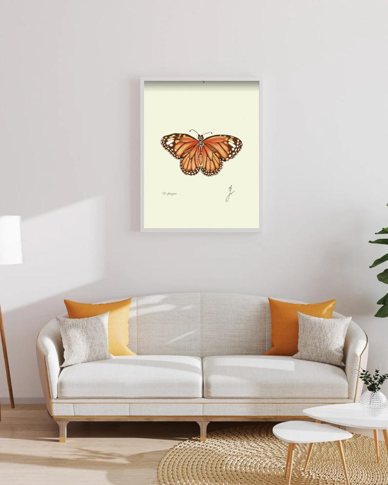 Monarch print in a white framed print on a white wall above a white couch