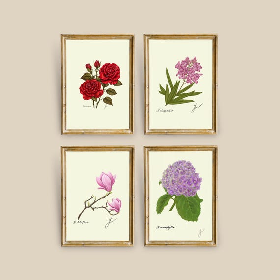 Botanical Shrub Prints Set: Garden Decor Wall Art (Digital Download)