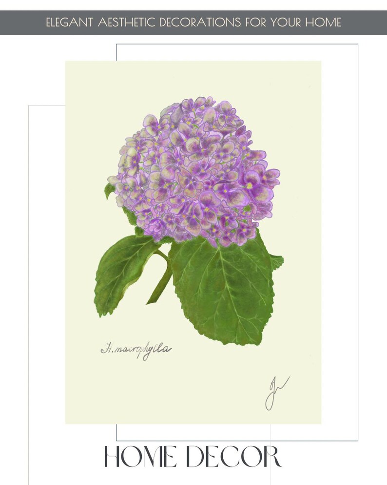 Hortensia print example as card
