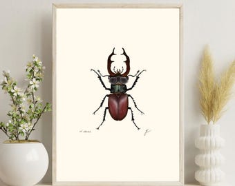 Stag Beetle Print | Entomology Art Digital Download | Dark Academia Decor