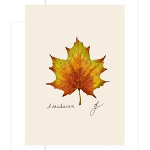 Acer print example as card