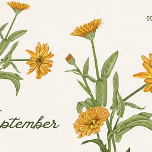 2026 Botanical Wall Calendar | Art Nouveau Floral Print (Digital Download) image 18