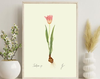 Vintage Tulip Print: Botanical Spring Wall Art (Digital Download)